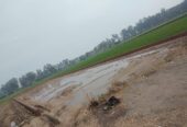 Land for sale in Nanakmatta (Uttarakhand)
